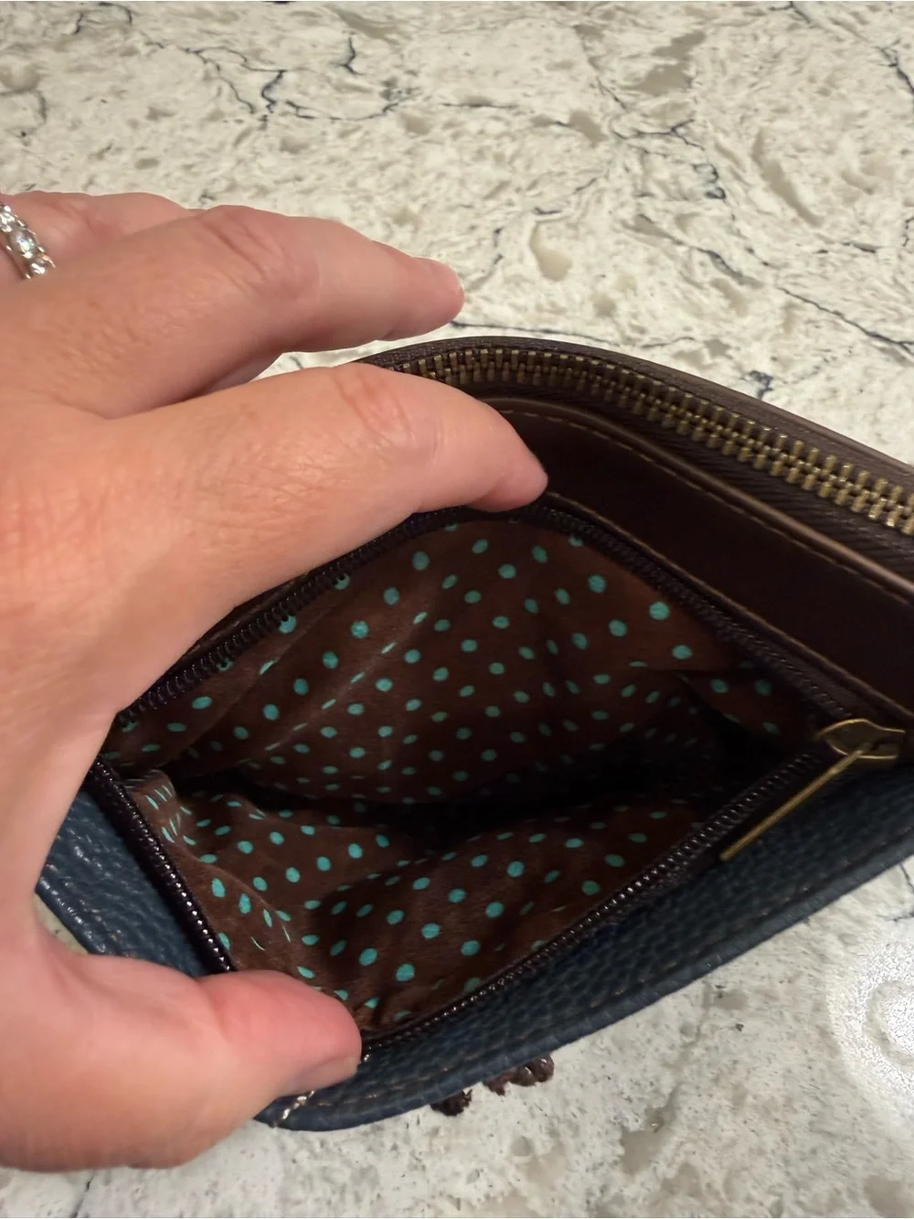 Chala ladybug bag